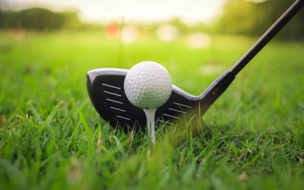 Best 5 Wood